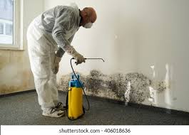 Best Black Mold Removal  in Reynoldsburg, OH